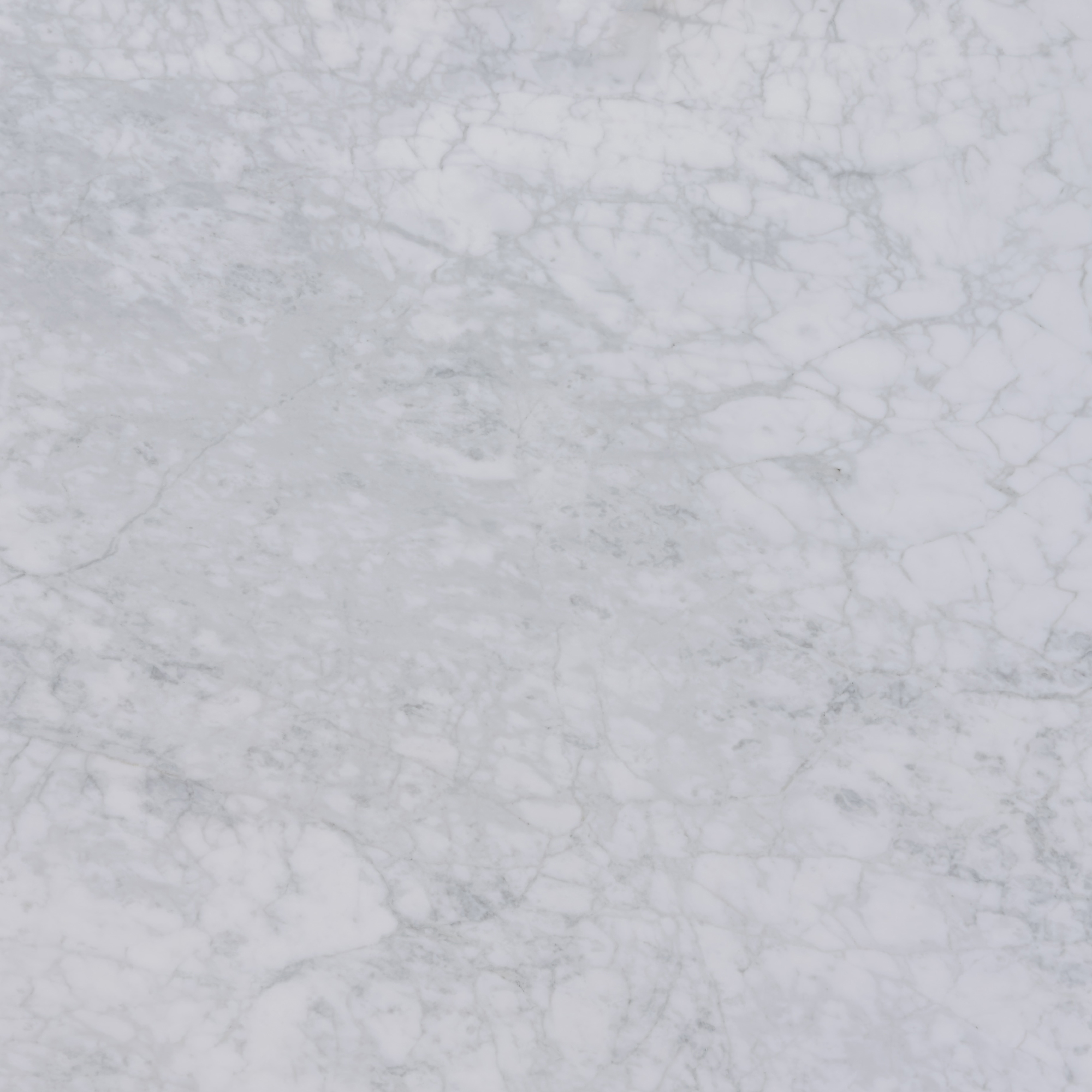 Calacatta Caldia — texture completa