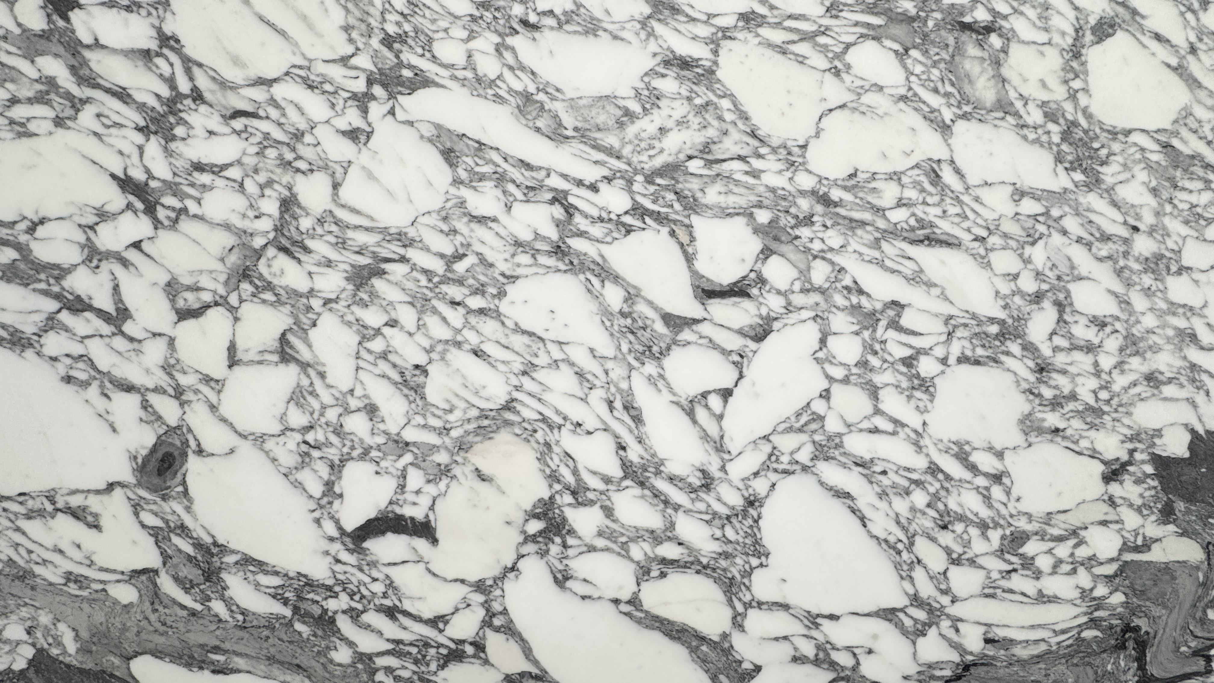 Arabescato Corchia — texture completa