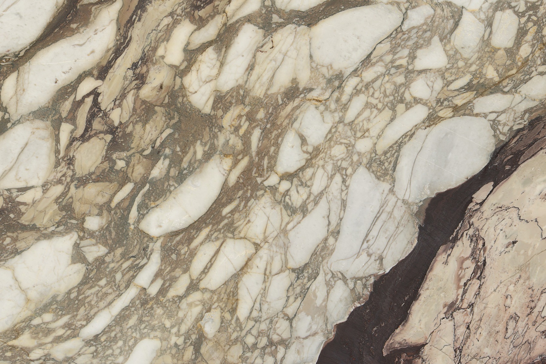 CALACATTA MONET — texture completa