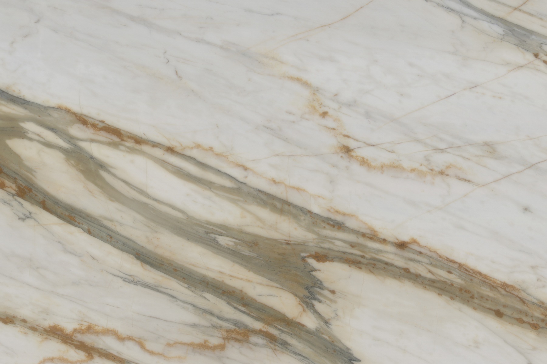 CALACATTA GOLD — texture completa